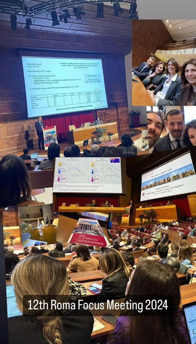Roma Focus Meeting 12 Collage 2024